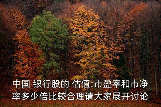 中國(guó) 銀行股的 估值:市盈率和市凈率多少倍比較合理請(qǐng)大家展開(kāi)討論