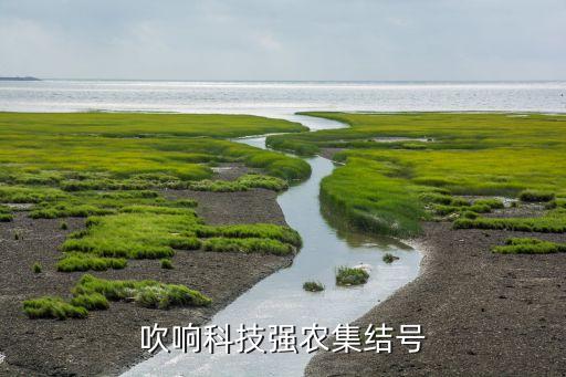 吹響科技強農(nóng)集結號