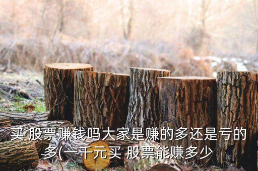 買(mǎi) 股票賺錢(qián)嗎大家是賺的多還是虧的多(一千元買(mǎi) 股票能賺多少