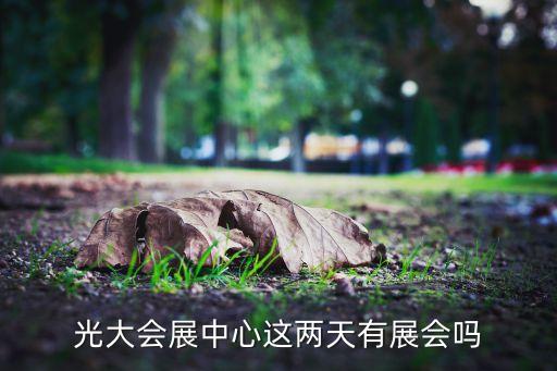 中國上海國際婚紗攝影器材展覽會,上?；榧啍z影器材展2023時間