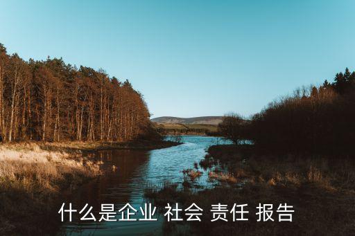 上市公司社會責任報告是必須披露的嗎,和訊網上市公司社會責任報告
