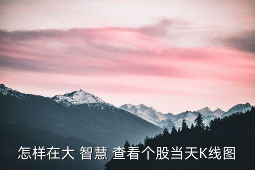 怎樣在大 智慧 查看個(gè)股當(dāng)天K線(xiàn)圖