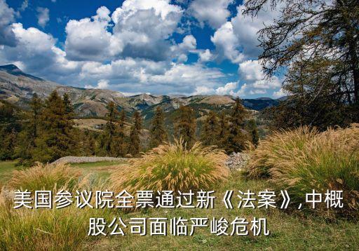 美國參議院全票通過新《法案》,中概股公司面臨嚴(yán)峻危機