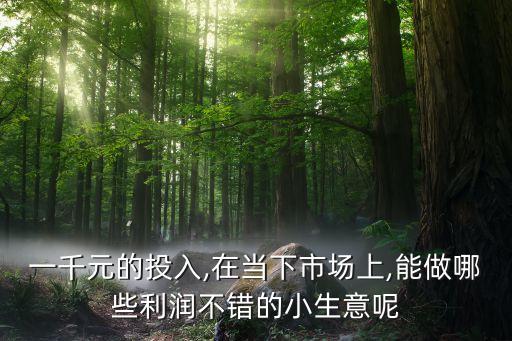 一千元的投入,在當(dāng)下市場(chǎng)上,能做哪些利潤不錯(cuò)的小生意呢