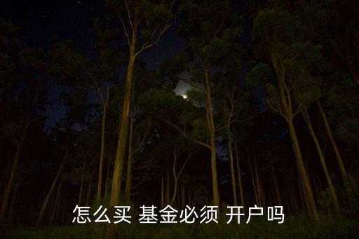 怎么買(mǎi) 基金必須 開(kāi)戶(hù)嗎