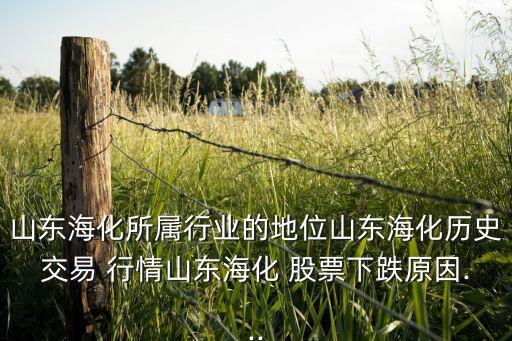 山東?；鶎傩袠I(yè)的地位山東?；瘹v史交易 行情山東?；?股票下跌原因...