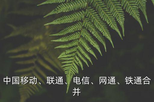 中國(guó)移動(dòng)、聯(lián)通、電信、網(wǎng)通、鐵通合并
