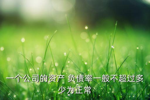 一個(gè)公司的資產(chǎn) 負(fù)債率一般不超過多少為正常