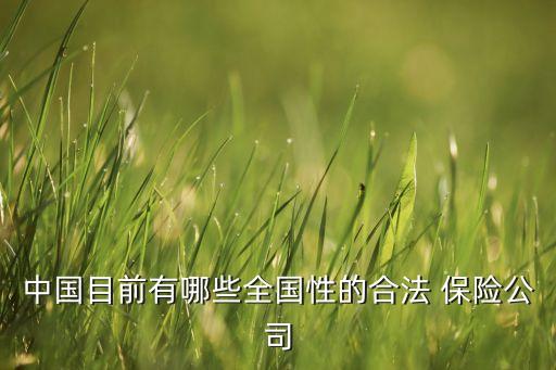中國目前有哪些全國性的合法 保險(xiǎn)公司