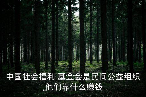 基金會如何盈利,老?；饡渴裁从?/></a></span><span id=