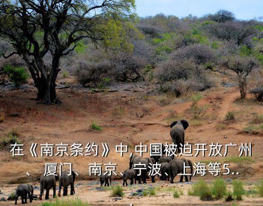 在《南京條約》中,中國(guó)被迫開(kāi)放廣州、 廈門(mén)、南京、寧波、上海等5...