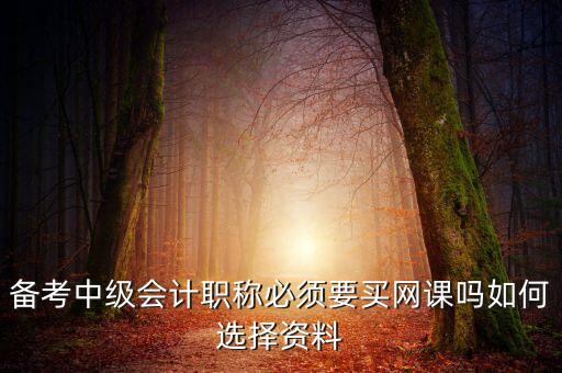 備考中級(jí)會(huì)計(jì)職稱必須要買(mǎi)網(wǎng)課嗎如何選擇資料