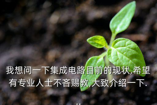 我想問一下集成電路目前的現狀,希望有專業(yè)人士不吝賜教,大致介紹一下...