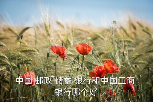中國 郵政 儲(chǔ)蓄 銀行和中國工商 銀行哪個(gè)好