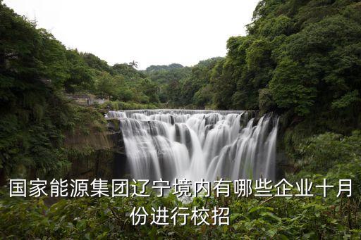 國家能源集團遼寧境內(nèi)有哪些企業(yè)十月份進行校招