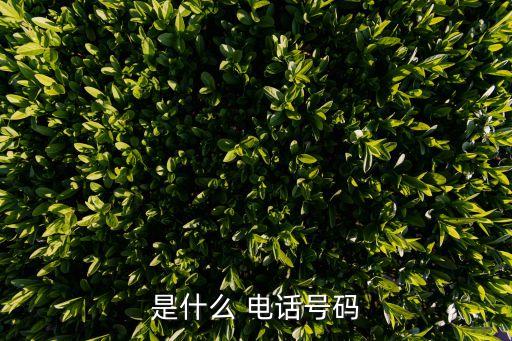 是什么 電話(huà)號(hào)碼
