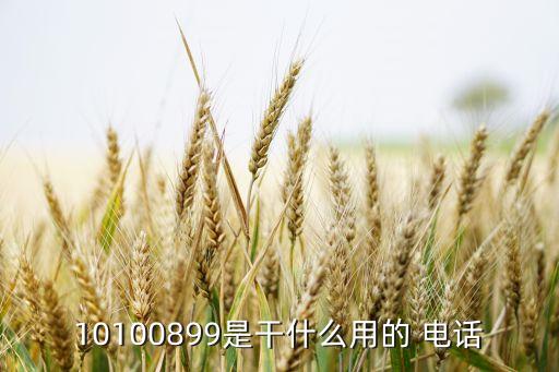 10100899是干什么用的 電話(huà)