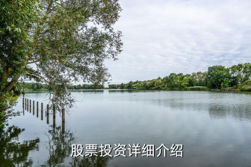 上?？萍脊善背杀?上海本地科技股票一覽表