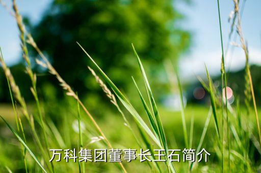 萬(wàn)科集團(tuán)董事長(zhǎng)王石簡(jiǎn)介