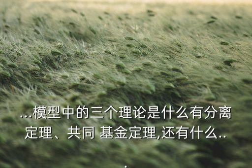 ...模型中的三個(gè)理論是什么有分離定理、共同 基金定理,還有什么...