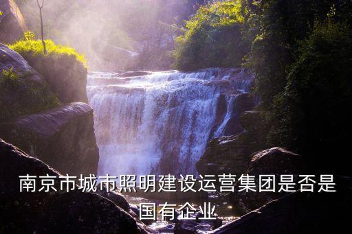  南京市城市照明建設(shè)運營集團(tuán)是否是 國有企業(yè)
