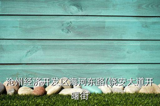 滄州經(jīng)濟(jì)開發(fā)區(qū)海河?xùn)|路(饒安大道開曙街
