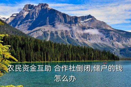 農(nóng)民資金互助 合作社倒閉,儲(chǔ)戶的錢(qián)怎么辦