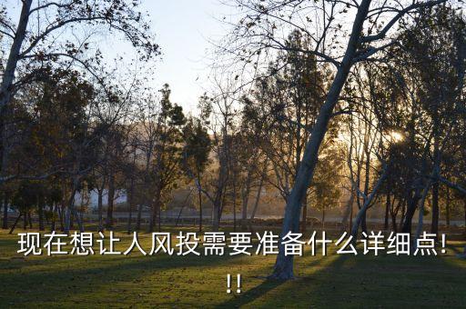 現(xiàn)在想讓人風投需要準備什么詳細點!!!