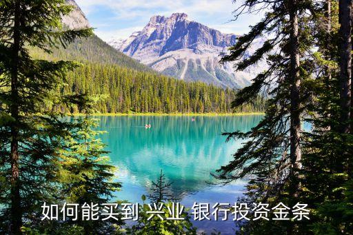 如何能買(mǎi)到 興業(yè) 銀行投資金條