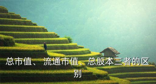 總市值、 流通市值、總股本三者的區(qū)別