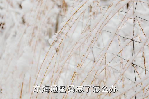 東?；鸸?/></a></span><span id=