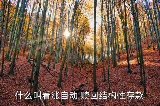 什么叫看漲自動 贖回結(jié)構(gòu)性存款