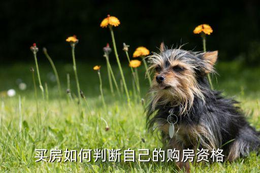 銀行怎么查限購(gòu),限高人員去銀行會(huì)查出來嗎