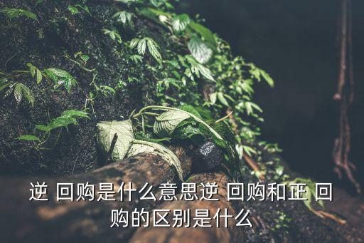 哪個(gè)證券公司開(kāi)通證券正回購(gòu)