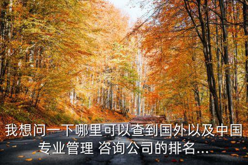 我想問(wèn)一下哪里可以查到國(guó)外以及中國(guó)專業(yè)管理 咨詢公司的排名...