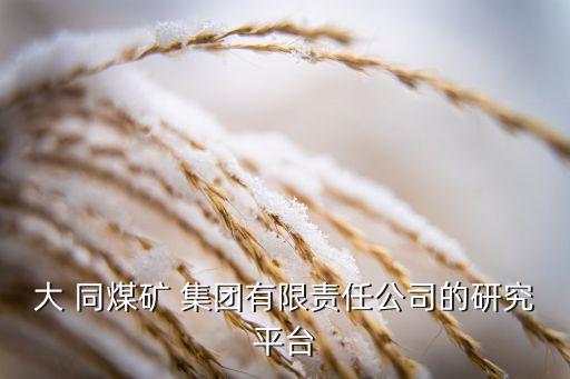 大 同煤礦 集團有限責(zé)任公司的研究平臺