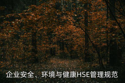 企業(yè)安全、環(huán)境與健康HSE管理規(guī)范