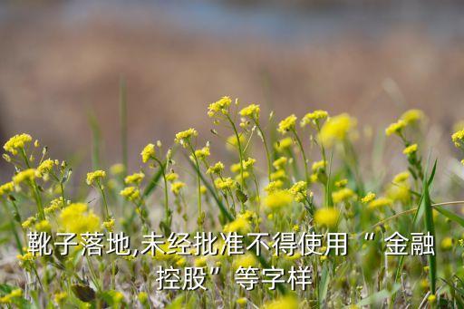 靴子落地,未經批準不得使用“ 金融 控股”等字樣