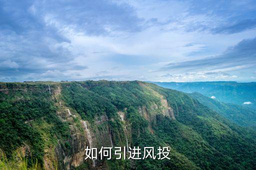 如何引進風投