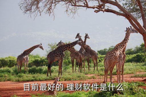 短期投資與理財排行榜,中短期投資與理財網