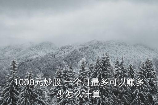 1000元炒股 一個月最多可以賺多少怎么計(jì)算