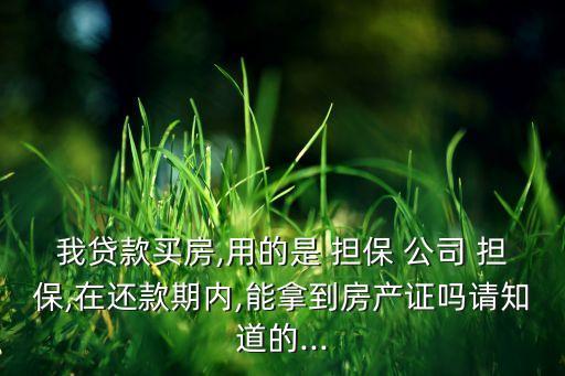 我貸款買房,用的是 擔保 公司 擔保,在還款期內,能拿到房產證嗎請知道的...