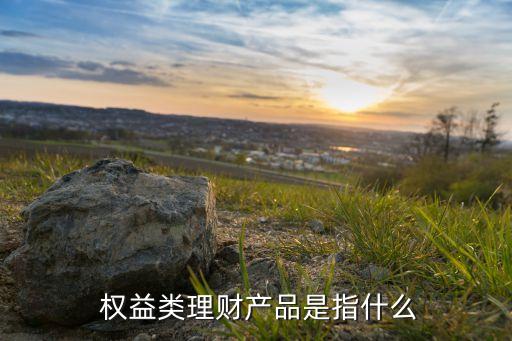 基金權益類產品,權益類基金是指什么
