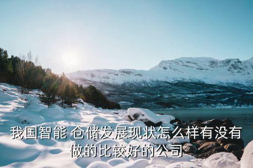 我國智能 倉儲(chǔ)發(fā)展現(xiàn)狀怎么樣有沒有做的比較好的公司