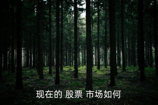 國內股票市場發(fā)展狀況,股票市場建立和發(fā)展的意義
