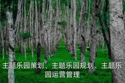 主題樂園策劃、主題樂園規(guī)劃、主題樂園運(yùn)營(yíng)管理