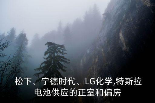  松下、寧德時(shí)代、LG化學(xué),特斯拉電池供應(yīng)的正室和偏房
