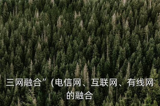 三網(wǎng)融合”(電信網(wǎng)、互聯(lián)網(wǎng)、有線網(wǎng)的融合