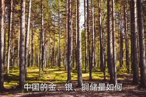 中國(guó)的金、銀、銅儲(chǔ)量如何