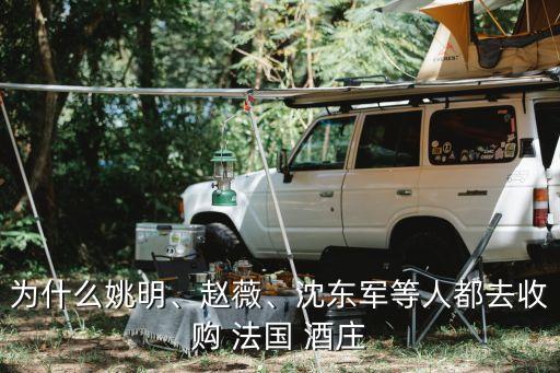 為什么姚明、趙薇、沈東軍等人都去收購 法國 酒莊